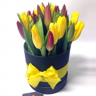 Gėlių pristatymas Šilutėje Pavasariška didelė juoda dėžutė su tulpėmis