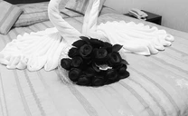 Romantiška nakvynė dviems Šilutėje